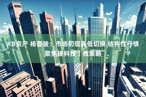 KB资产 杨首骏：市场初现高低切换 结构性行情聚焦硬科技｜微策略