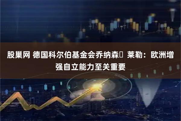 股巢网 德国科尔伯基金会乔纳森・莱勒：欧洲增强自立能力至关重要