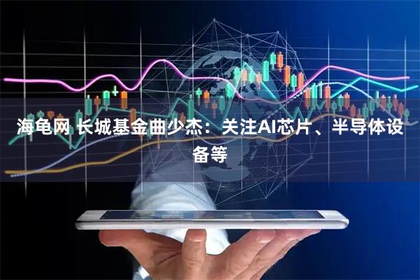 海龟网 长城基金曲少杰：关注AI芯片、半导体设备等